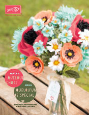 catalogue-stampin-up-printemps2015